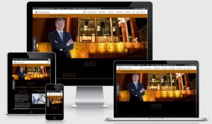 Criminal Defense Attorney Website screenshot image