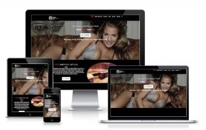 VIP Host Service Website screenshot