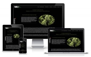 MMJ Defense Attorney
