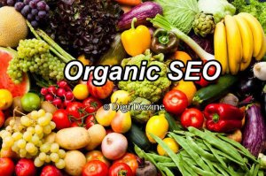 Fruit and Vegetables Representing Organic SEO